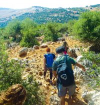 Best Time to Visit Jordan for Walking, Cycling and Culture