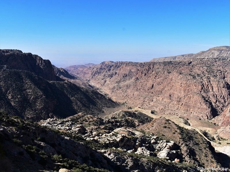 Dana of Jordan