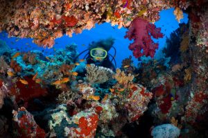 Why Jordan Is Becoming a Global Adventure Travel Hotspot 6 Dollarphotoclub 35553101 e1415067057763 1