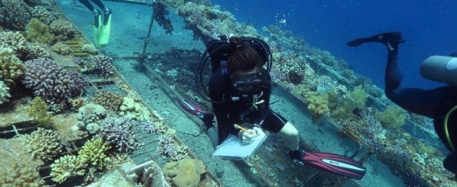 scientist red sea 1