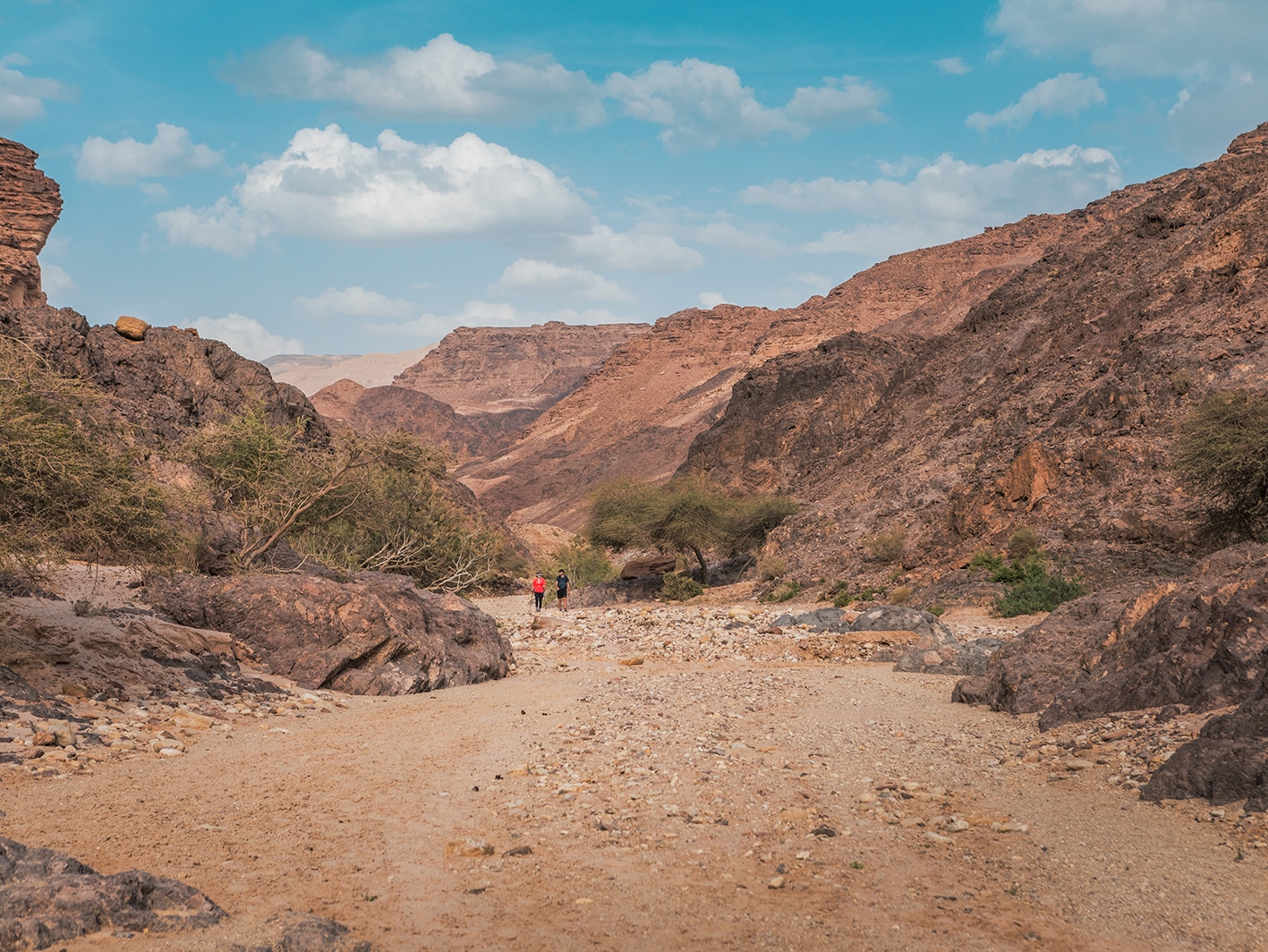 Petra to Wadi Rum