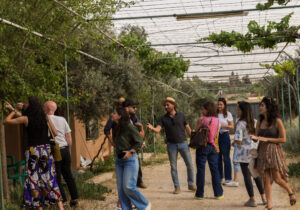 Carob Farm Tour 2
