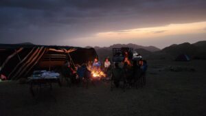 wilderness night