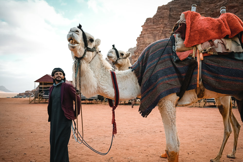 camels pride & wealth