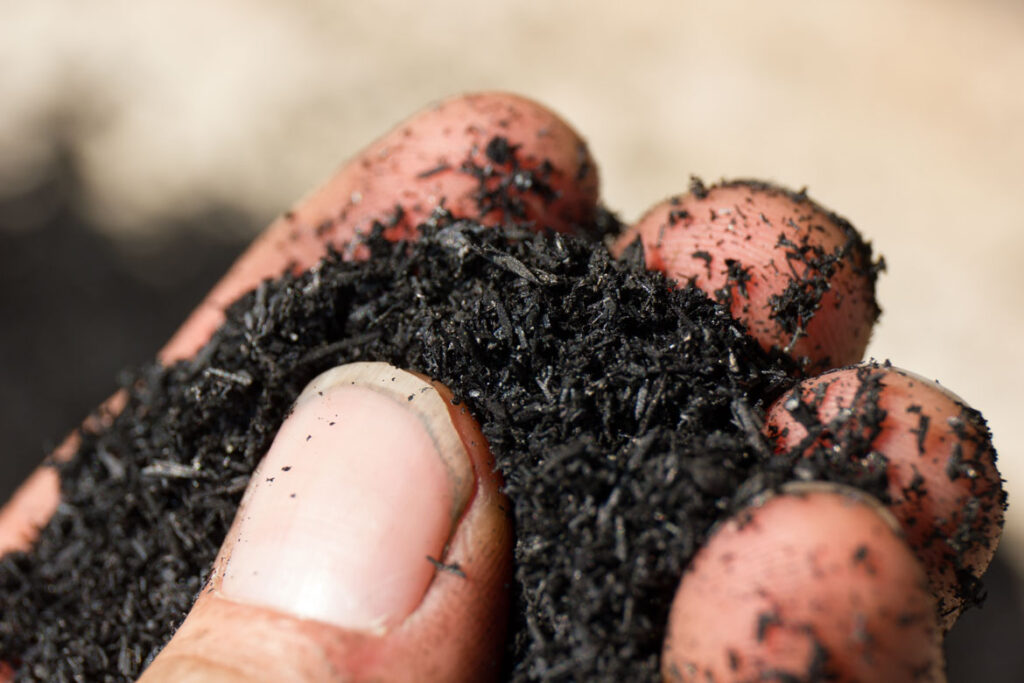 pacific biochar BiGchar