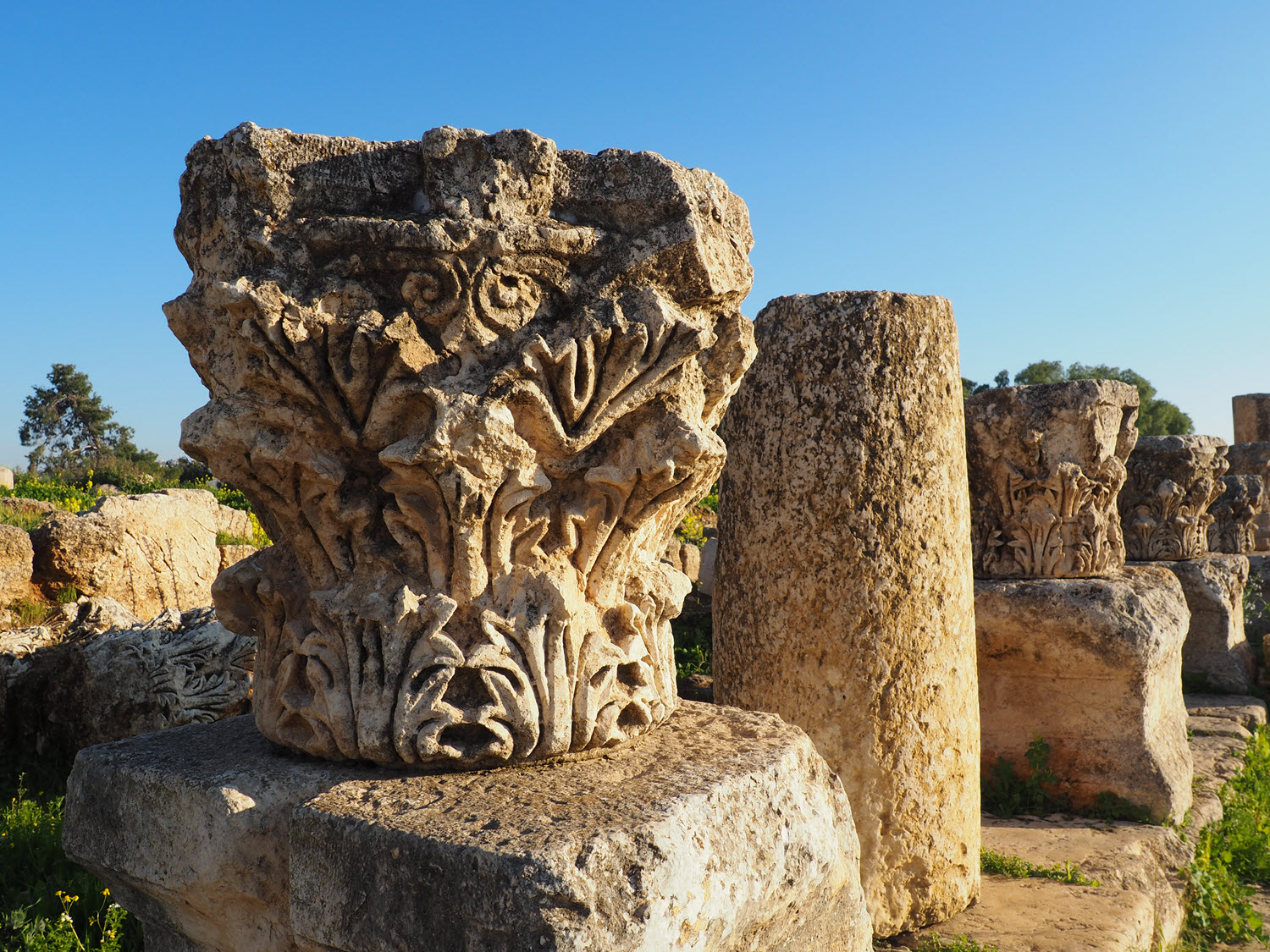 Jerash 3