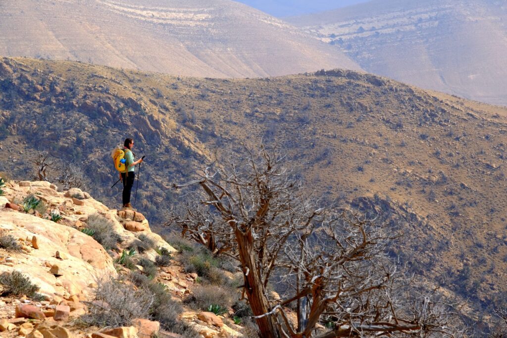 Jordan Pass: La Guida Completa (Prezzi, Opzioni e Conviene?) 7 Un punto panoramico sul Jordan Trail